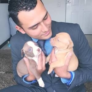 Meet your Posher, Daniel felipe